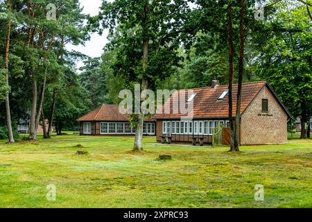 Eine wunderbare Wanderung durch die einzigartige und farbenfrohe Landschaft der Osterheide - Bispingen - Niedersachsen - Deutschland Stockfoto