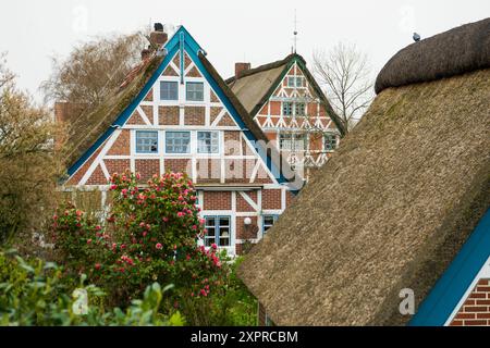 Fachwerkhäuser mit Strohdach, Steinkirchen, bei Jork, altes Land, Niedersachsen, Deutschland Stockfoto
