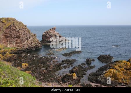 Felsformation namens Jocks Nose, St abbs Schottland Stockfoto