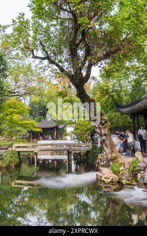 Baum am Teich im bescheidenen Verwaltungsgarten in Suzhou, China Stockfoto