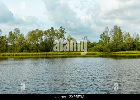 Eine wunderbare Wanderung durch die einzigartige und farbenfrohe Landschaft der Osterheide - Bispingen - Niedersachsen - Deutschland Stockfoto