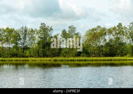 Eine wunderbare Wanderung durch die einzigartige und farbenfrohe Landschaft der Osterheide - Bispingen - Niedersachsen - Deutschland Stockfoto