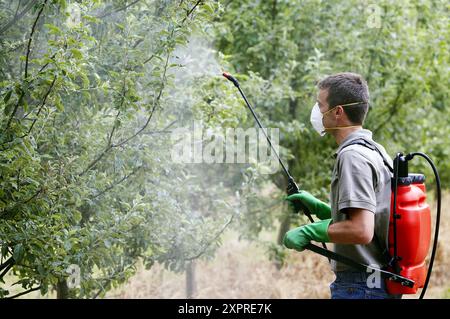 Landwirt Behandlung von Obstbäumen mit Sprayer (Insektizide, Pestizide). Apfelbäume. Gipuzkoa, Euskadi. Spanien. Stockfoto