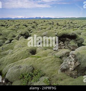 Gletscher Mýrdalsjökull, Tundra, Island Stockfoto