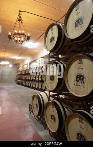 Rioja-Wein in Eichenfässern reift. Bodegas Virgen del Valle, Samaniego, Rioja Alavesa, Euskadi Stockfoto