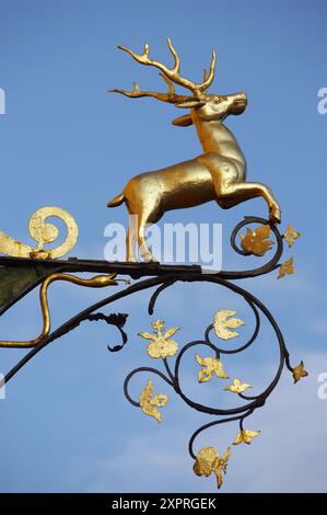 Unterer Alpensee, Hall in Tirol. Tirol, Österreich Stockfoto