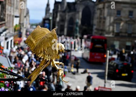 Edinburgh, Schottland. Mittwoch, 7. August 2024. Eine goldene Statue eines Falken, der eine Ratte in den Krallen hält, ist über dem angebracht. Frauengeschichte im Gladstone's Land Museum auf der High St (Royal Mile) während des Edinburgh Fringe Festivals. Kredit: Brian D Anderson Kredit: Brian Anderson/Alamy Live News Stockfoto