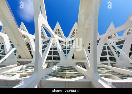 Wissenschaftsmuseum. CAC. Architekt Santiago Calatrava, Ciudad de las Artes y de las Ciencias. Stadt der Künste und Wissenschaften. Valencia. Comunidad Valenciana. S Stockfoto