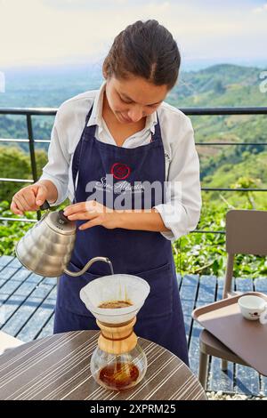 Hacienda San Alberto, Cafetal, Kaffeeplantagen, Kaffee-Kulturlandschaft, Buenavista, Quindio, Kolumbien, Südamerika Stockfoto