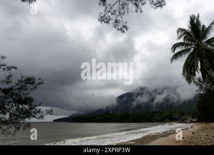 Palmensilhouette vor den Morgennebelwolken aus dem Regenwald, Damai Beach, Südchinesisches Meer, Sarawak, Malaysia Stockfoto