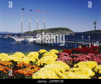 Bar Harbor, Maine, USA Stockfoto
