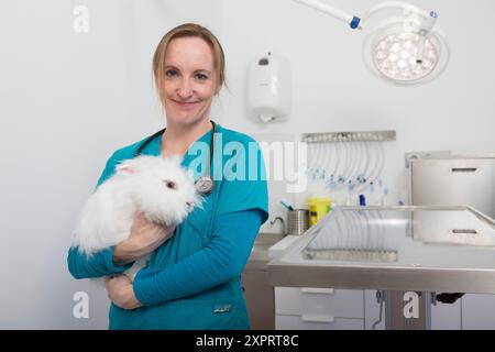 Tierarzt untersuchen ein Angorakaninchen in ihre Operation Stockfoto