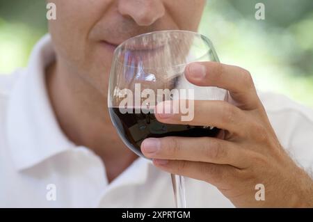 Man trinkt ein Glas Rotwein Stockfoto