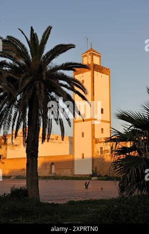 Ben Youssef Moschee in Medina von Essaouira, Marokko, Nordafrika Stockfoto