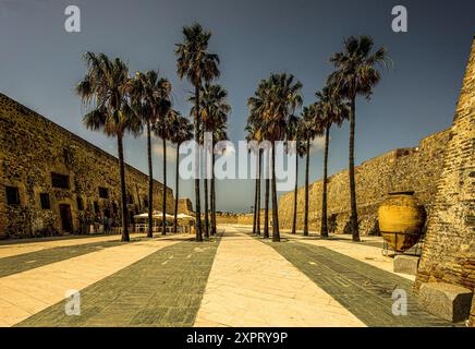 Innenhof der Murallas Reales, die königlichen Mauern mit Gastronomie unter Palmen, Ceuta, Nordafrikanische Küste, Spanien Stockfoto