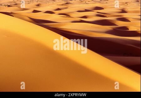 Meer von Dünen. Erg Chebbi. Merzouga. Tafilalet. Marokko. Stockfoto