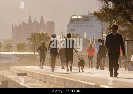 zu Fuß, Es Molinar, Molinar, Palma, Mallorca, Balearen, Spanien, Europa. Stockfoto