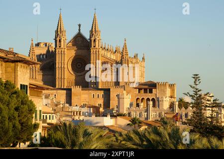 Catedral de Mallorca von der Terrasse des Baluard Museums, museu Dart Modern i Contemporani de Palma Palma Mallorca Balearen Spanien. Stockfoto