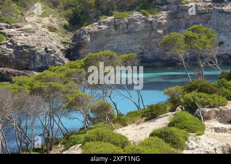 Caló des Moro Bucht, Santanyi, Migjorn, Mallorca, Balearen, Spanien Stockfoto