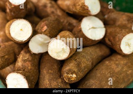 Maniok auf dem kolumbianischen Bauernmarkt - Manihot esculenta Stockfoto