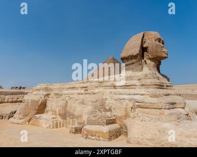 Panoramablick auf die große Sphinx von Gizeh, die in Kalkstein geformt wurde, neben der Pyramide von Kefren in El Kairo Ägypten Stockfoto