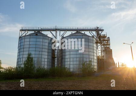 Landwirtschaftliche Silos neben dem Erntefeld bei Sonnenuntergang. Set von Lagertanks, Verarbeitungsbetrieb für landwirtschaftliche Kulturpflanzen. Stockfoto