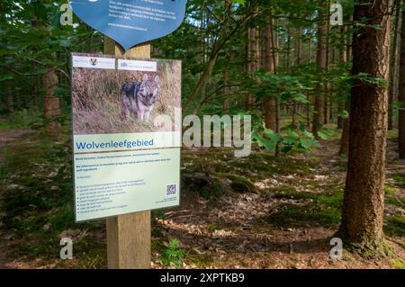 Woudenberg, Niederlande.8. august.2024.Warnschilder, wie man mit einer Wolfsbegegnung umgehen kann, sind an den Eingängen des Naturparks „den Treek“ angebracht. Ein großer Teil ist nun nach einem weiteren Vorfall mit Walkern und einem Wolf für die Öffentlichkeit gesperrt. Quelle: Pmvfoto/Alamy Live News Stockfoto