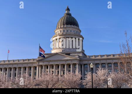 Utah State Capitol – Blick auf das Utah State Capitol am Frühlingsabend, mit nationalen und staatlichen Flaggen, die von blühenden Kirschbäumen umgeben sind. Stockfoto