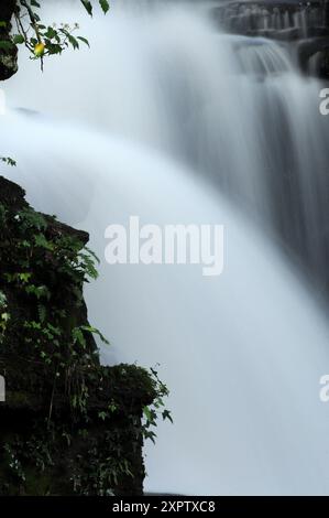 Longford Falls am Fluss Clydach in Longford, Neath Abbey. Stockfoto