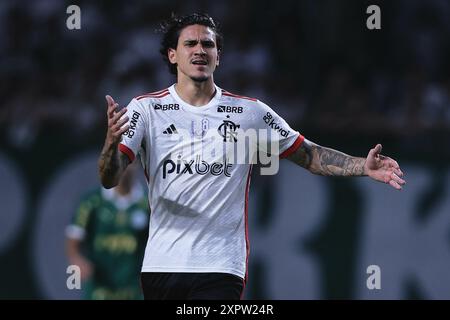 Sao Paulo, Brasilien. August 2024. SP - SAO PAULO - 07/08/2024 - COPA DO BRASIL 2024, PALMEIRAS x FLAMENGO - FLAMENGO Spieler Pedro beklagt sich während des Spiels gegen Palmeiras im Stadion Arena Allianz Parque für die Copa do Brasil 2024 Meisterschaft. Foto: Ettore Chiereguini/AGIF Credit: AGIF/Alamy Live News Stockfoto