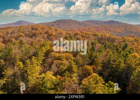 Bewaldete Appalachen in North Carolina mit gelben Waldbäumen in der Herbstsaison. Schönheit der herbstlichen Natur Stockfoto