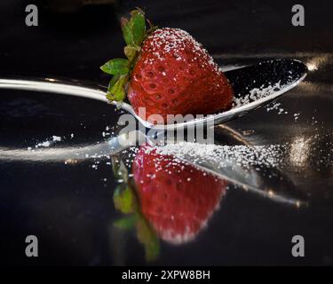 Erdbeere auf Löffel mit Puderzucker mit Reflexionen Stockfoto