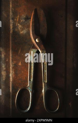 Metallscheren auf rostfreiem Werkzeugkasten-Stillleben. Stockfoto