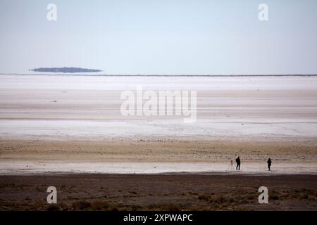 Lake Eyre South, Oodnadatta Track, Outback, South Australia, Australien Stockfoto