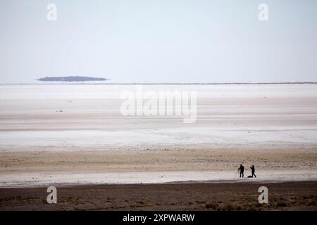 Lake Eyre South, Oodnadatta Track, Outback, South Australia, Australien Stockfoto