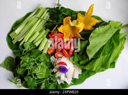 Ein lebhaftes Arrangement von frischem Gemüse und Kräutern zeigt sich auf großen grünen Blättern, wie Kirschtomaten, gelbe Kürbisblüten und eine Mischung aus Blattgemüse wie Stockfoto