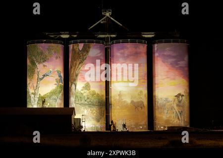 Wandgemälde auf Kornsilos bei Nacht (gemalt von Joel Fergie und Travis Vinson, auch bekannt als der Zookeeper und Drapl), Thallon, Balonne Region, Queensland, Australien Stockfoto