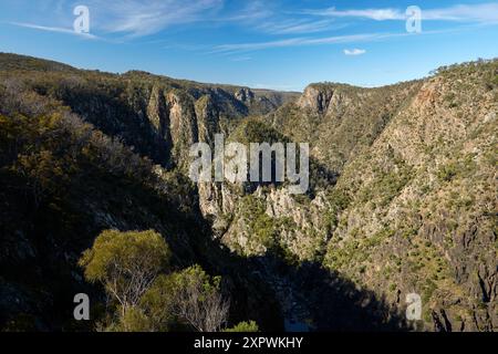 Dangars Gorge, Oxley Wild Rivers National Park, Armidale, New South Wales, Australien Stockfoto