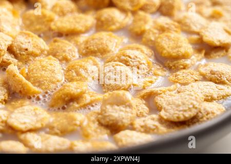 Knusprige Müsliflocken in pflanzlicher Reismilch für ein gesundes Bio-Frühstück in einer grauen Küchenschüssel einweichen. Die Zubereitung von nahrhaften Lebensmitteln Stockfoto