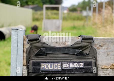 Eine Hundeweste der Polizei, Großbritannien. Stockfoto