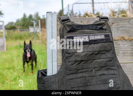 Eine Hundeweste der Polizei, Großbritannien. Stockfoto