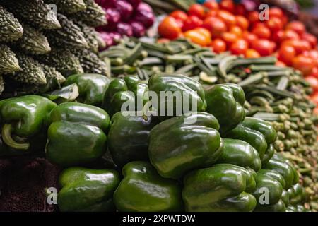 Frisches Gemüse auf dem lokalen Markt. Hausgemachtes Gemüse auf dem lokalen Markt. Auswahl an frischem Obst und Gemüse. Gemüsesorten im Superm Stockfoto