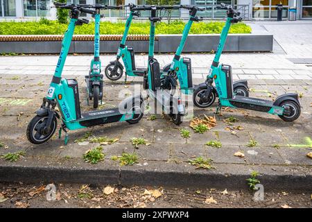 Ludwigshafen, Deutschland - 29. Juni 2024: Stufenvermietung Elektroroller parken vor dem modernen Gebäude der Stadt, öffentlicher Mietpark der Stadt Stockfoto