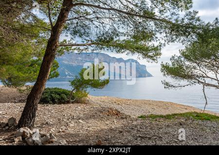 Malerischer Blick auf die Landzunge Cap Canaille von Cassis in Südfrankreich Stockfoto