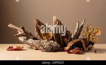 Alte trockene Holzschlingen mit getrockneten Weinblättern auf beigefarbenem Hintergrund. Kopierbereich. Platzieren Sie Ihr Produkt in den Vordergrund. Kopierbereich. Stockfoto