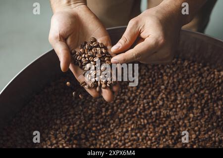 Röster Inspiziert Kaffeebohnen Während Des Röstprozesses Stockfoto