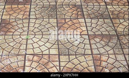 Straßenfliesen nass von Regen. Verschiedene Gesteinsstrukturen. Große Tropfen und Pfützen. Kopierbereich Stockfoto