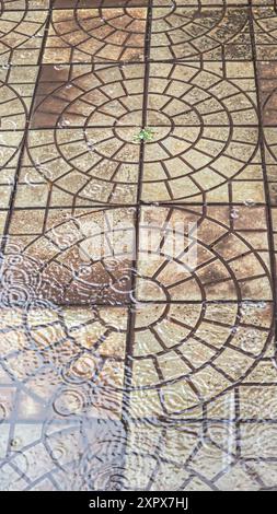 Straßenfliesen nass von Regen. Verschiedene Gesteinsstrukturen. Große Tropfen und Pfützen. Kopierbereich Stockfoto