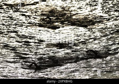 Paris, Frankreich. August 2024. Allgemeine Ansicht Marathonschwimmen : 10 km bei den Olympischen Spielen 2024 in Paris in Pont Alexandre, Frankreich. Quelle: Naoki Morita/AFLO SPORT/Alamy Live News Stockfoto