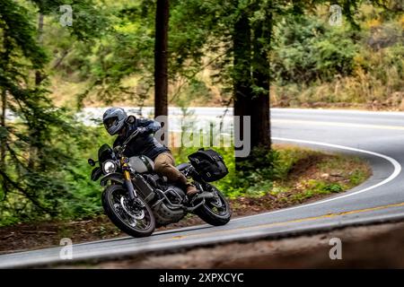 Ein Motorradfahrer, der auf einer kurvenreichen Straße durch ein bewaldetes Gebiet fährt Stockfoto